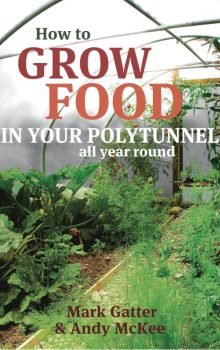 How to Grow Food in Your Polytunnel